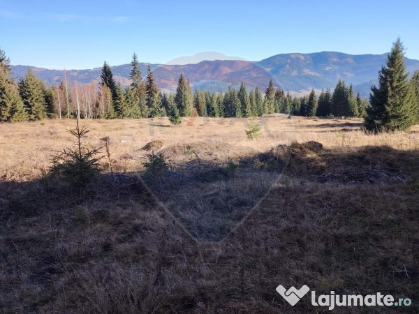 Teren 16,289mp Coverca / Drumul Bucinis 