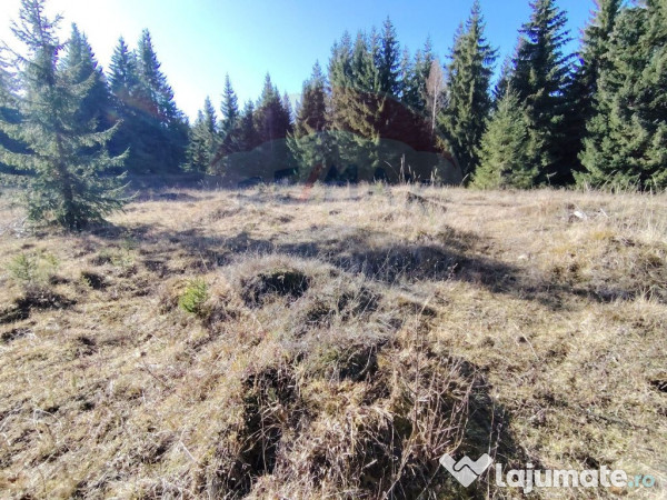 Teren 16,289mp Coverca / Drumul Bucinis 