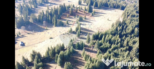 Teren 16,289mp Coverca / Drumul Bucinis 