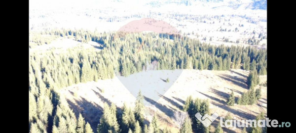 Teren 16,289mp Coverca / Drumul Bucinis 