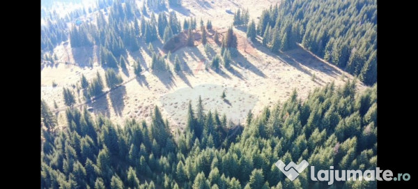 Teren 16,289mp Coverca / Drumul Bucinis 