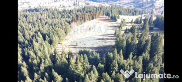 Teren 16,289mp Coverca / Drumul Bucinis 