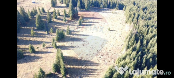 Teren 16,289mp Coverca / Drumul Bucinis 