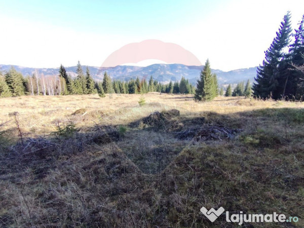 Teren 16,289mp Coverca / Drumul Bucinis 