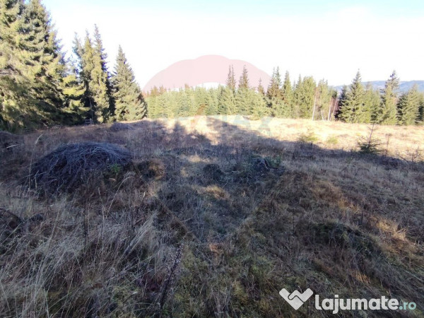 Teren 16,289mp Coverca / Drumul Bucinis 