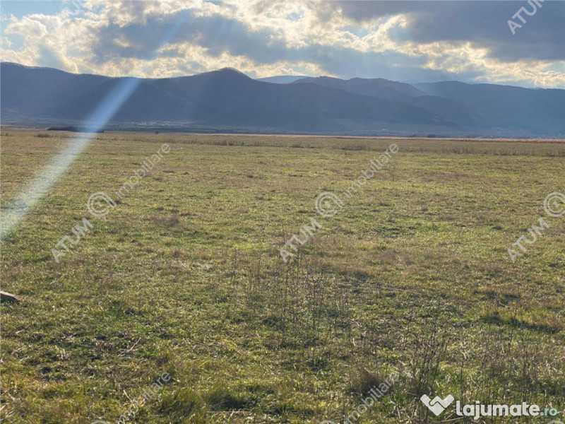 Parcela teren extravilan de 486 mp situat in Cristian