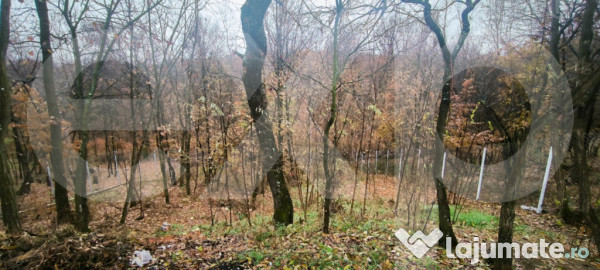 Casă modernă, gata de mutare, la 12 km de Pitești – Bab