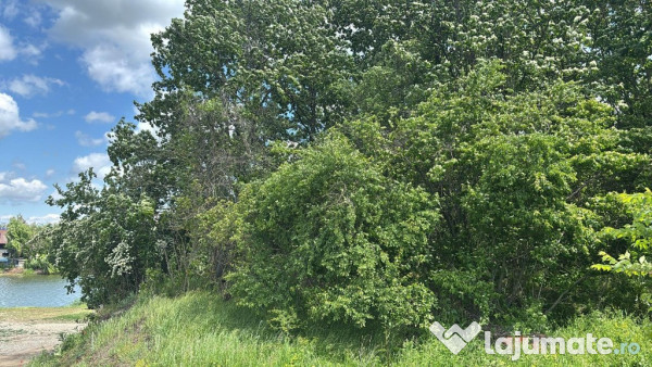 Teren intravilan in Corbeanca (sat Tamasi) 970mp. 