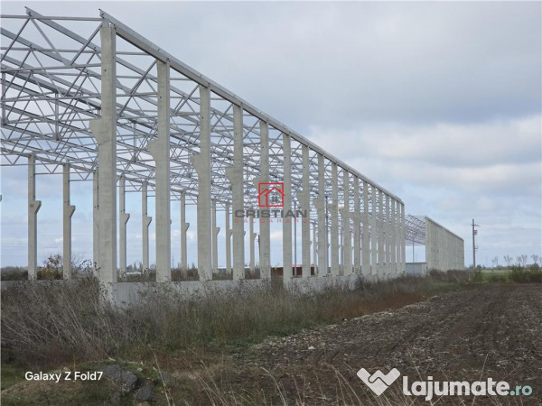 Depozit/hala/spatiu industrial Mogosoaia - Buftea 