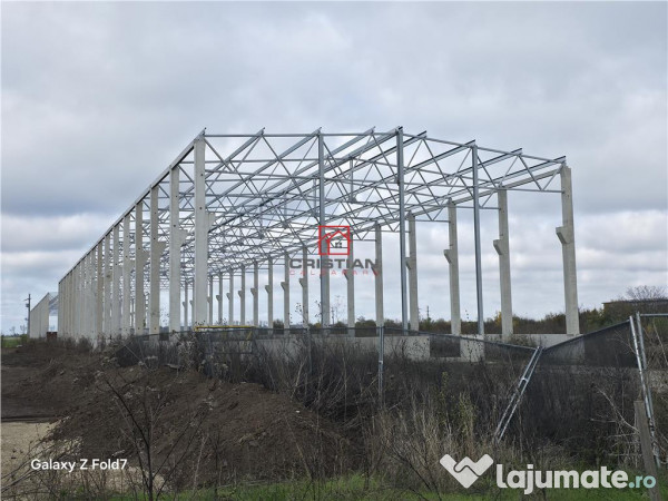 Depozit/hala/spatiu industrial Mogosoaia - Buftea 