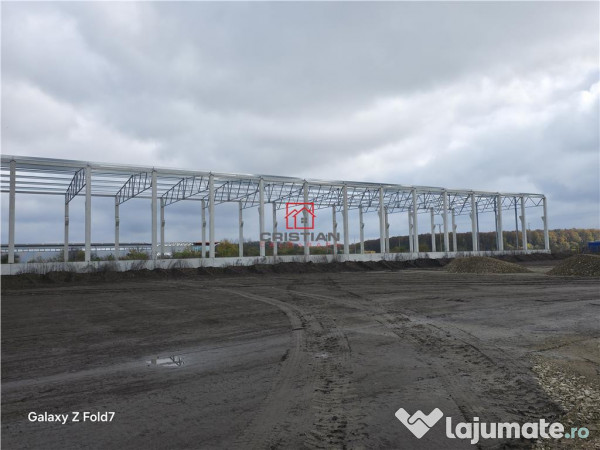 Depozit/hala/spatiu industrial Mogosoaia - Buftea 