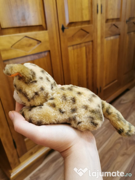 Caine si pisica plus