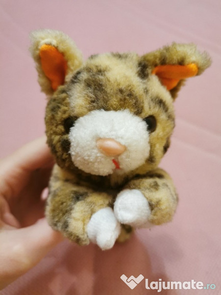 Caine si pisica plus