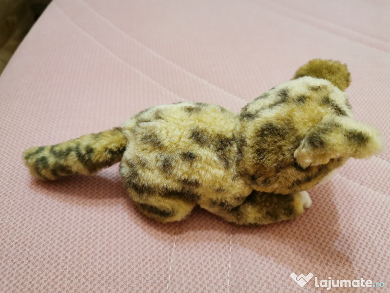 Caine si pisica plus