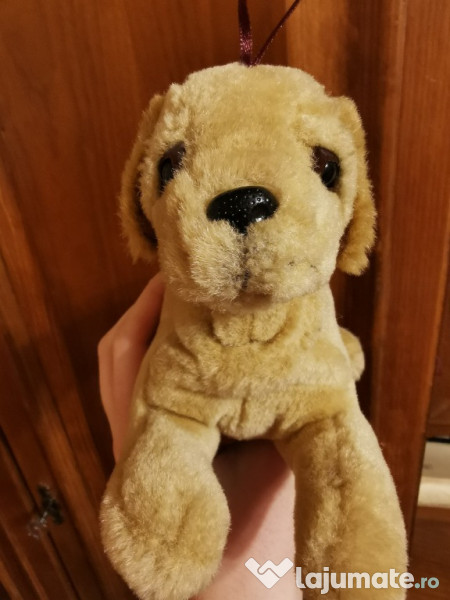 Caine si pisica plus