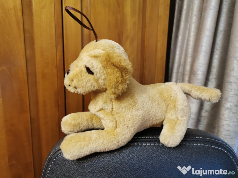 Caine si pisica plus