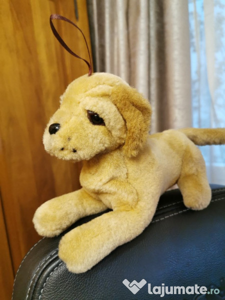 Caine si pisica plus