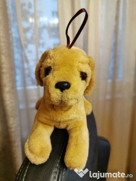 Caine si pisica plus