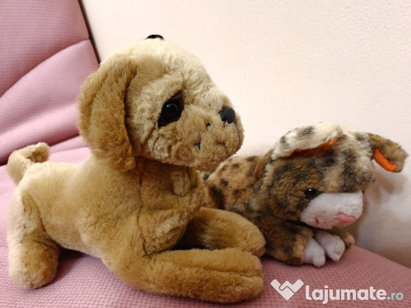 Caine si pisica plus