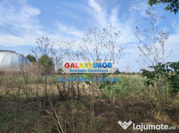 Teren intravilan Targoviste