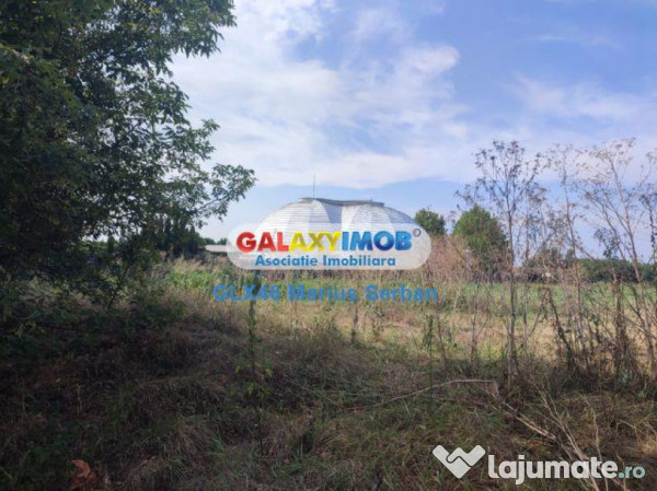 Teren intravilan Targoviste