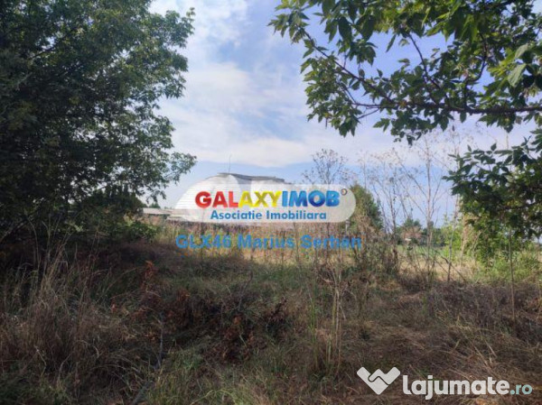 Teren intravilan Targoviste