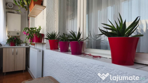 Apartament 3 camere in Deva, zona Iuliu Maniu 