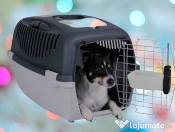 Transport caini, pisici si alte animale de companie 