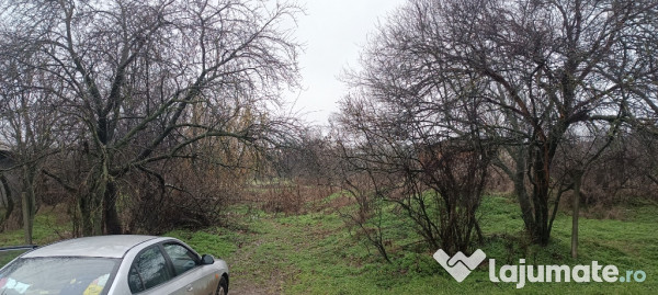 Teren Intravilan Draganesti-Olt 1649mp