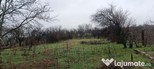 Teren Intravilan Draganesti-Olt 1649mp