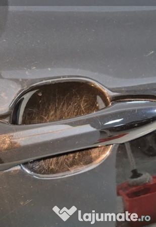 Detailing Profesional Auto Vâlcea - Bibolor Auto SRL 