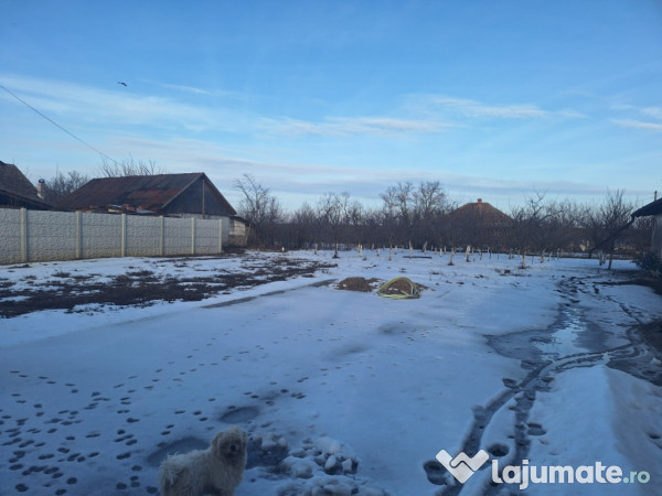 Casă în Varsand Arad 