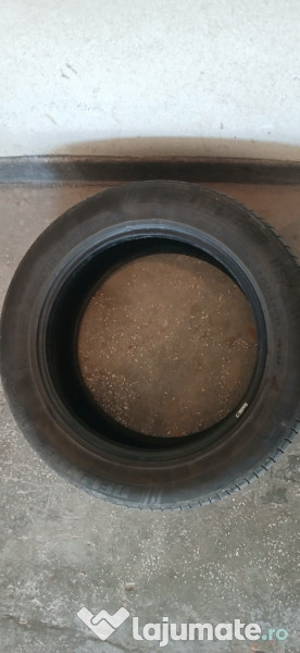 Anvelope 225 55 R17 Delinte 