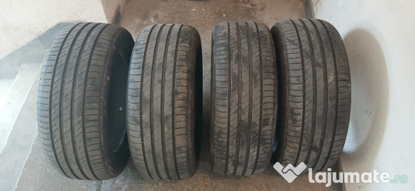 Anvelope 225 55 R17 Delinte 