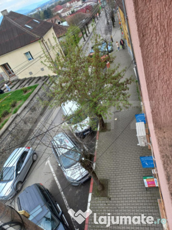 Spatiu comercial central! 1200mp! Reghin! 