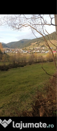 Teren comuna Carlibaba, jud. Suceava 8170mp