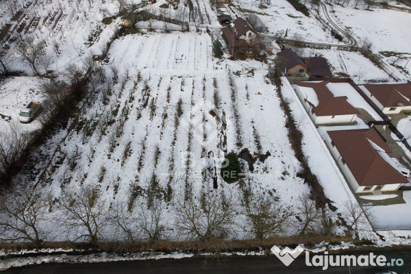 Teren Investitie Valea Jelnii