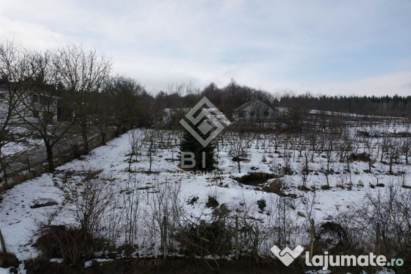 Teren Investitie Valea Jelnii