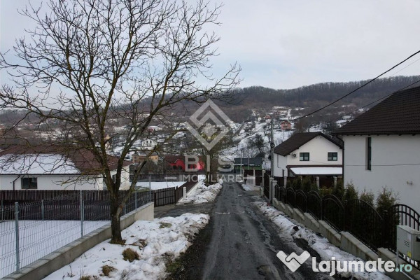 Teren Investitie Valea Jelnii