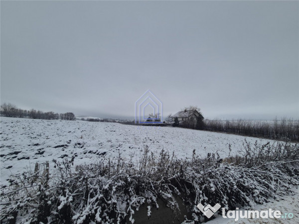 Teren intravilan Moara Bulai 51 ari