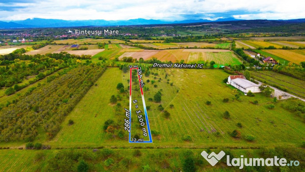 Teren Intravilan de Vanzare la Drum European