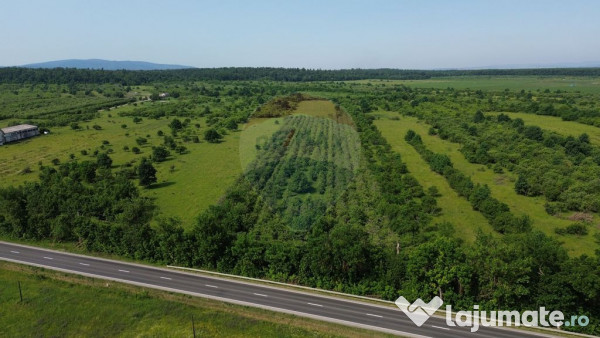 Teren Intravilan de Vanzare la Drum European