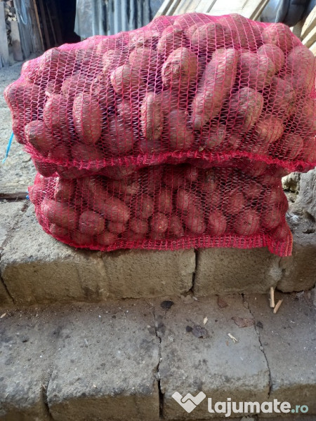 Cartofi pentru animale 