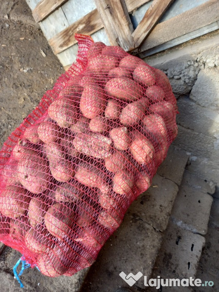 Cartofi pentru animale 