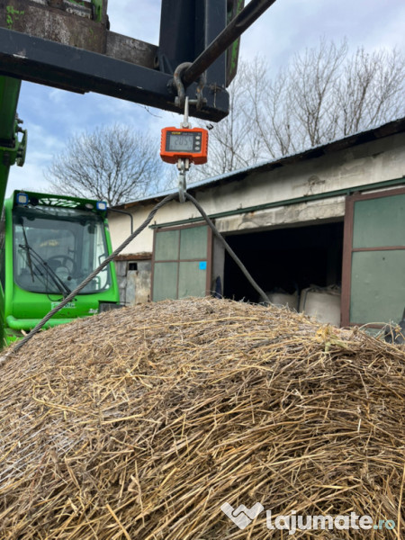 Baloti de lucerna 2025 