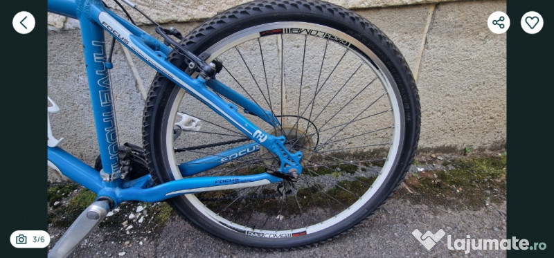 Bicicleta Focus Raven Rookie 