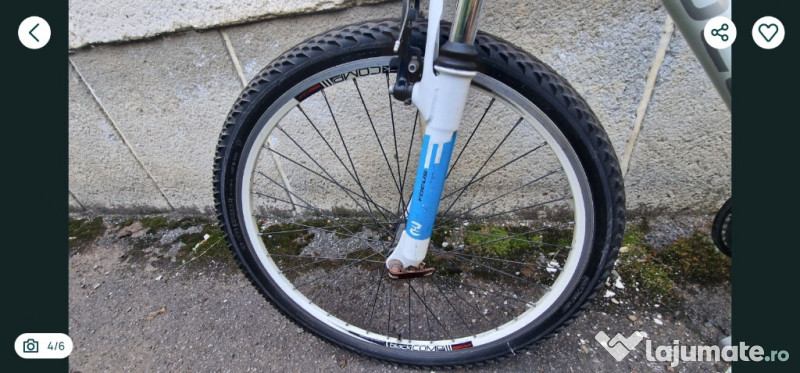 Bicicleta Focus Raven Rookie 