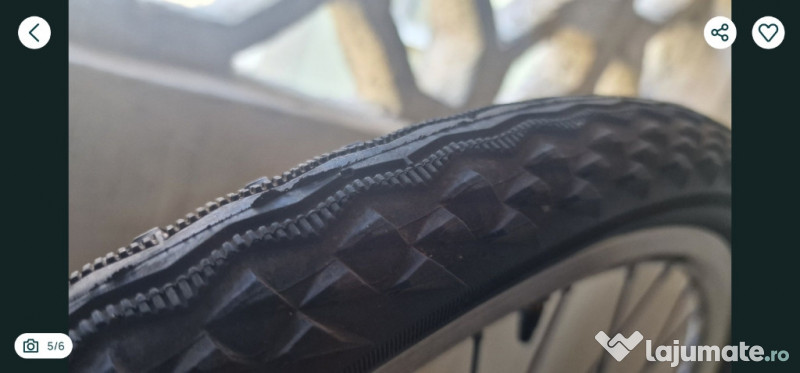 Bicicleta Focus Raven Rookie 