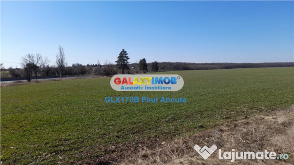 Teren Lac Padure Saftica 16800 mp cu acces 72m 