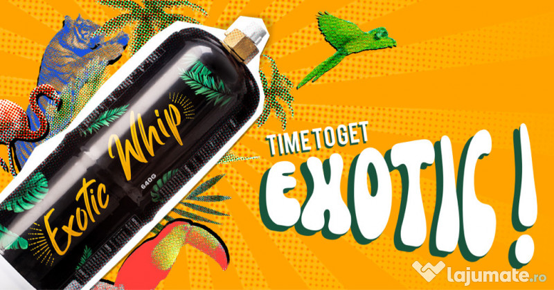 Capsule Frisca Azot Non Stop 